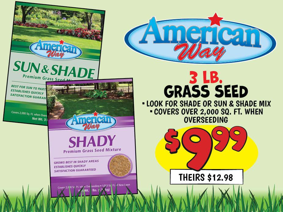 American Way Grass Seed