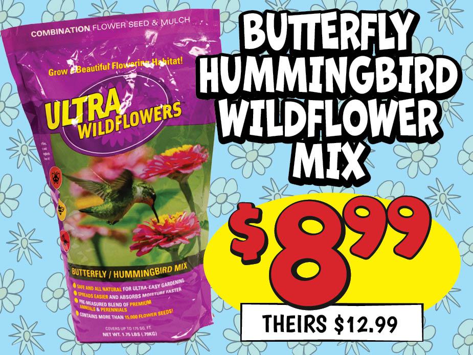 1.75 Lb. Butterfly Hummingbird Wildflower Mix