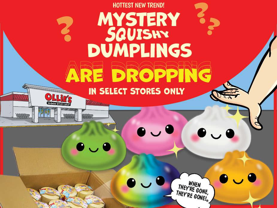Mystery Squishy Dumplings