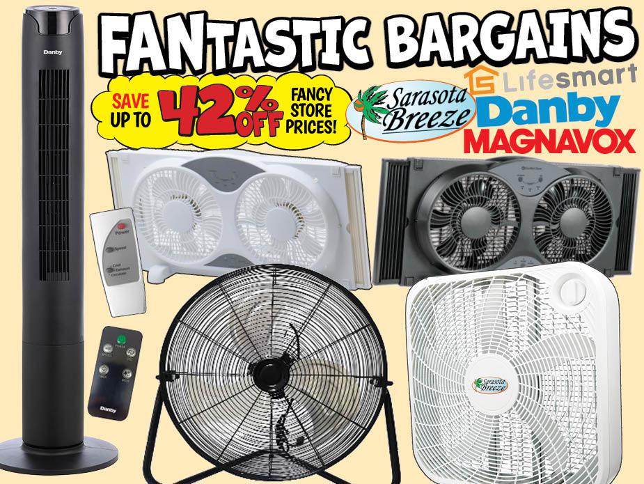 Fan Buyout