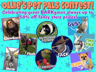 Ollie's Pet Pals Contest collage featuring pets with discount offers, including Chewbaca, Blackberry, and Peanut.