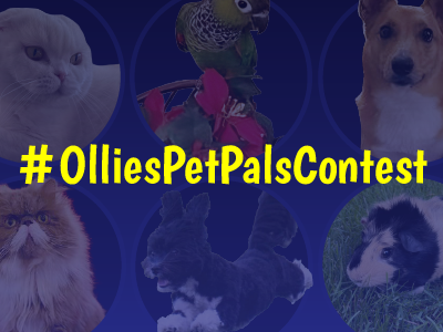Collage of pets promoting Ollie's Pet Pals Contest hashtag, featuring cats, dogs, and other adorable animals.