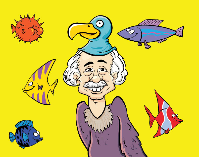 Bird & Fish