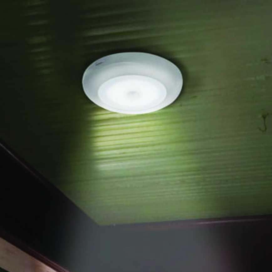 Motion Activated Ceiling Light