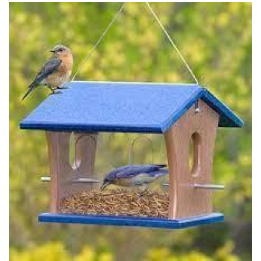 Dried Mealworms 7 oz.