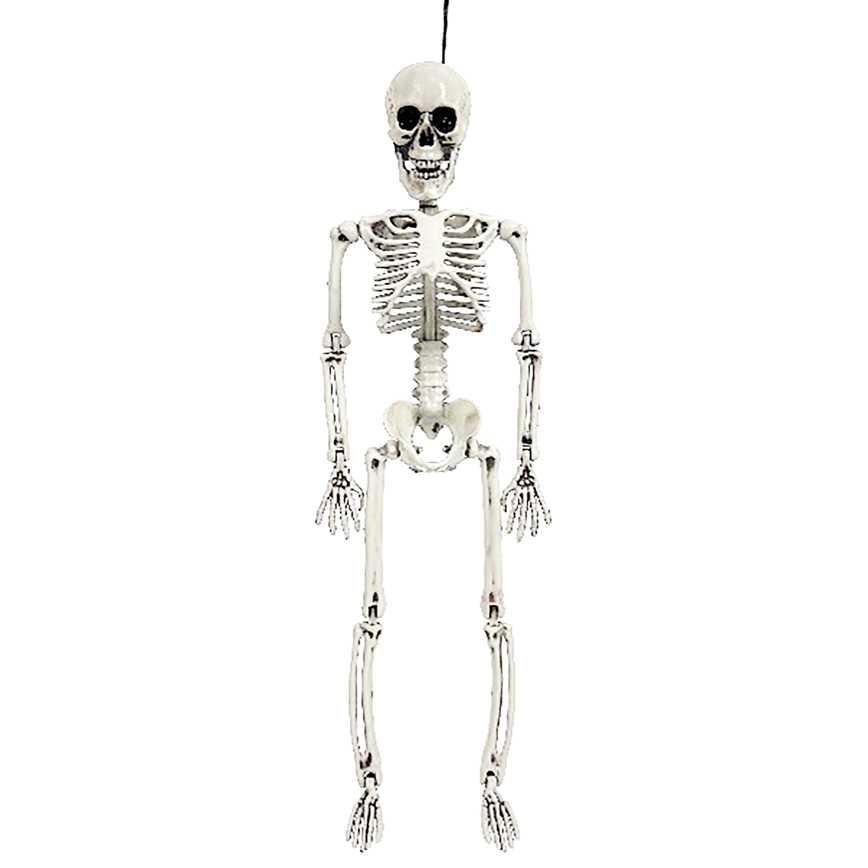 Hanging Skeleton 18"
