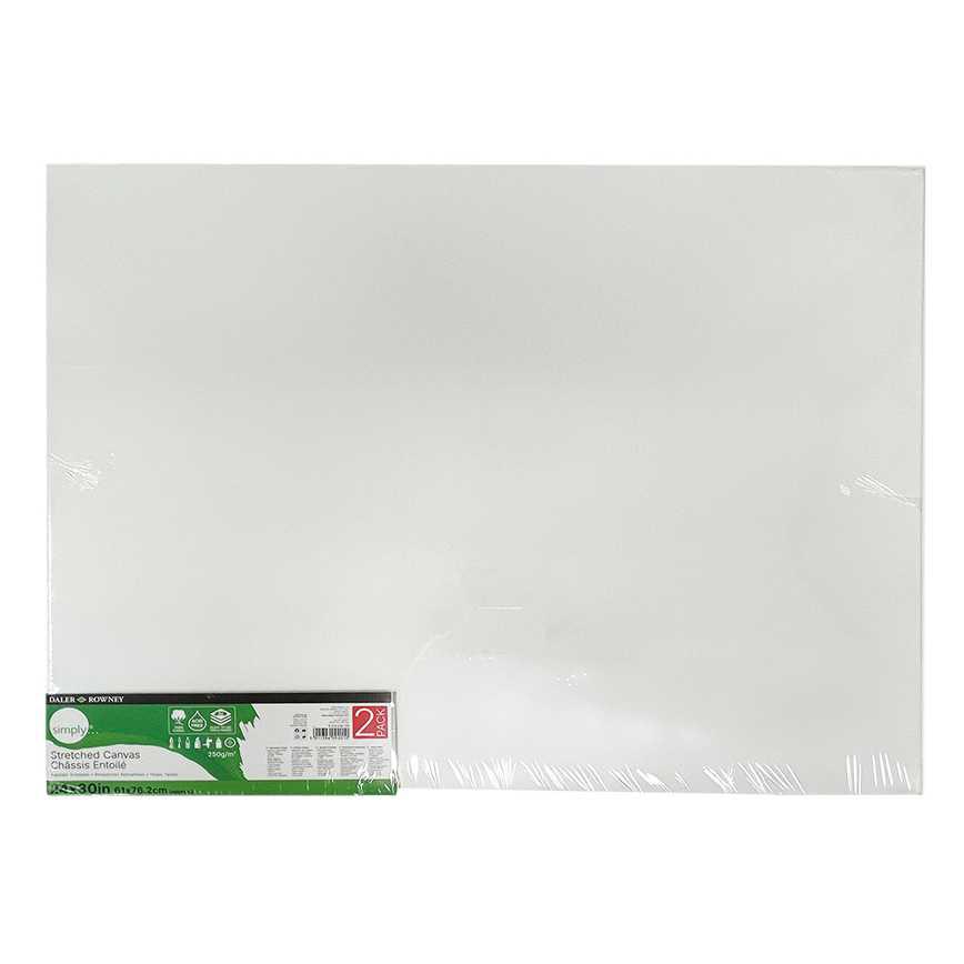 Daler Rowney Stretched Canvas 2 pk. 24" x 30"
