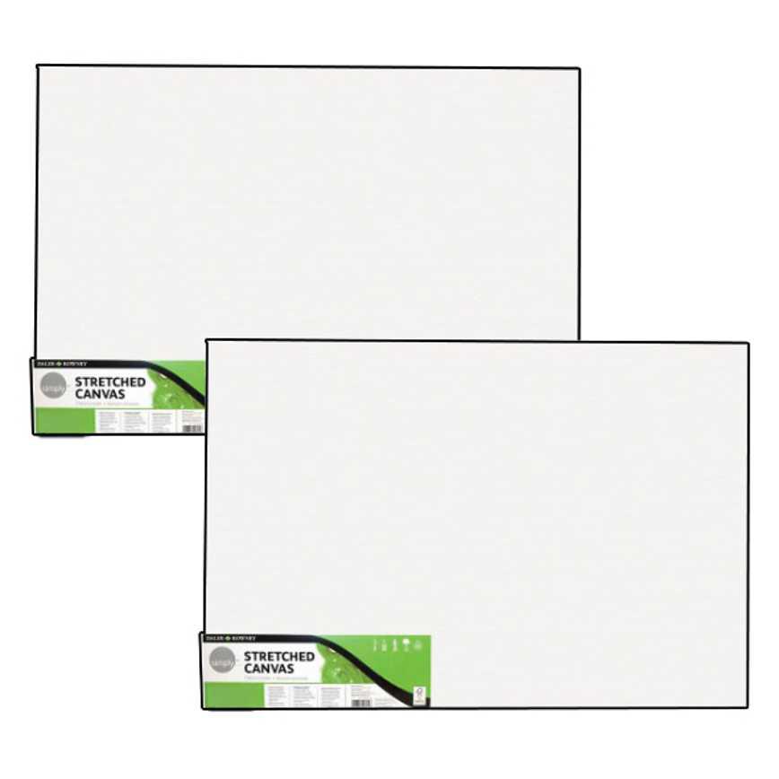 Daler Rowney Stretched Canvas 2 pk. 12" x 16"