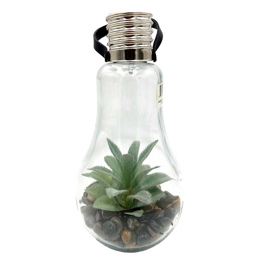 succulent in light bulb Hanging Lightbulb Terrarium
