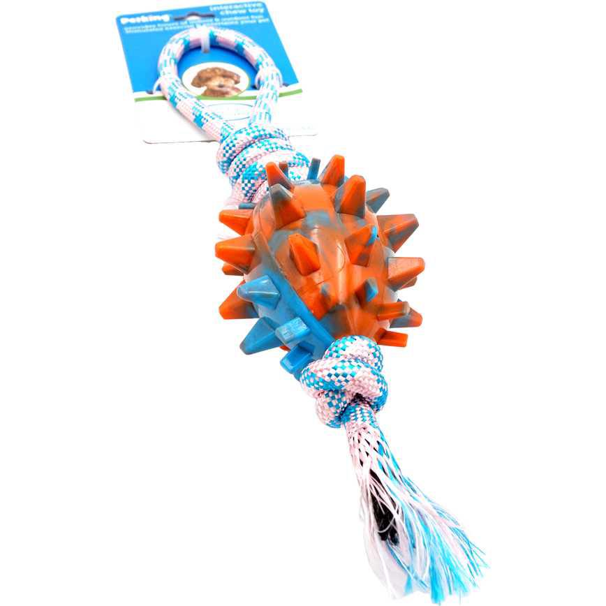 Pet King Interactive Chew Toy 