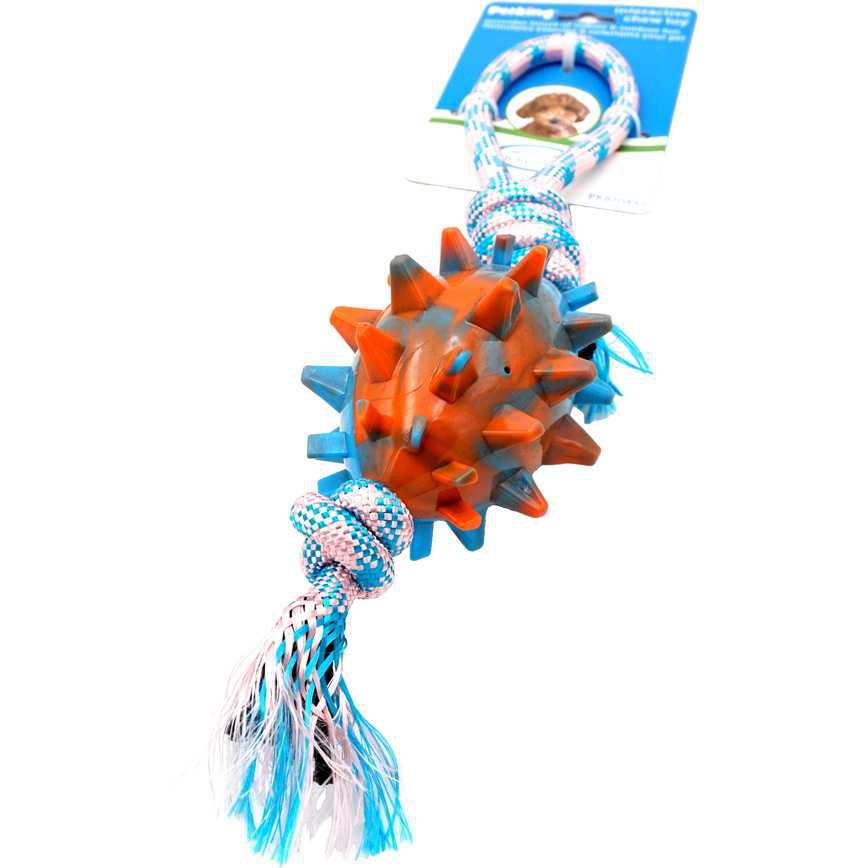 Pet King Interactive Chew Toy 