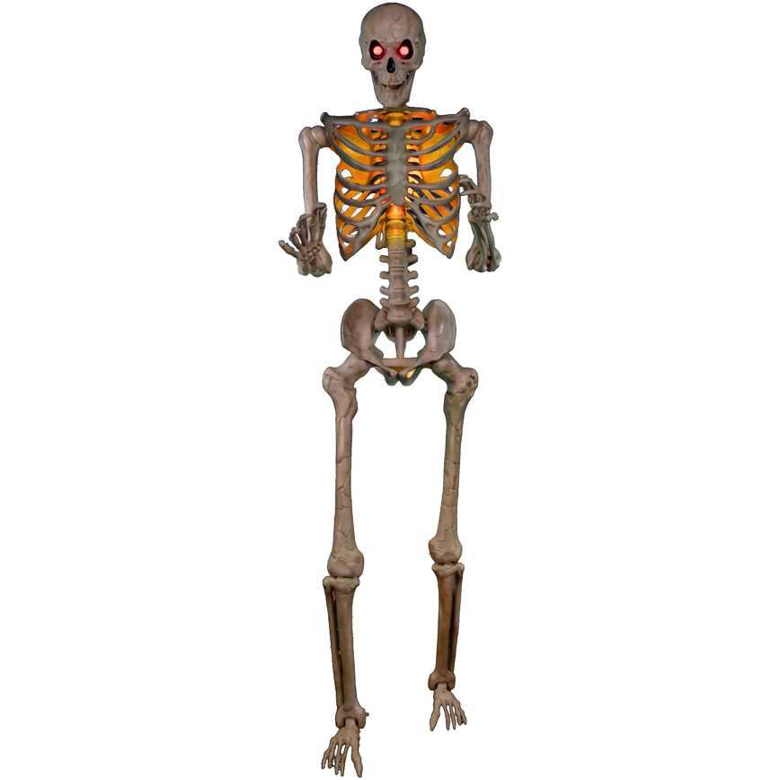Giant Posable Skeleton 10'