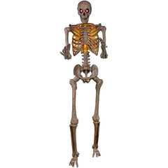 Giant Posable Skeleton 10' - Ollie's Bargain Outlet