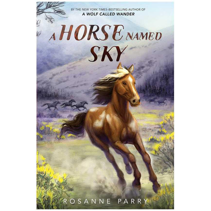 A Horse Named Sky