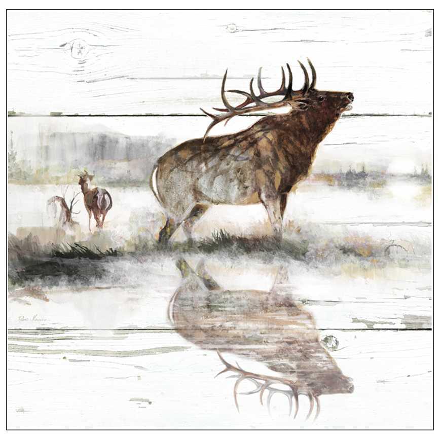 Lodge Decor Assortment 14" x 14"