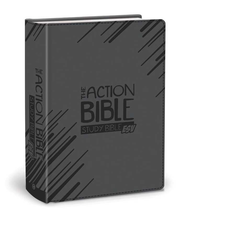 Action Bible Study Bibles