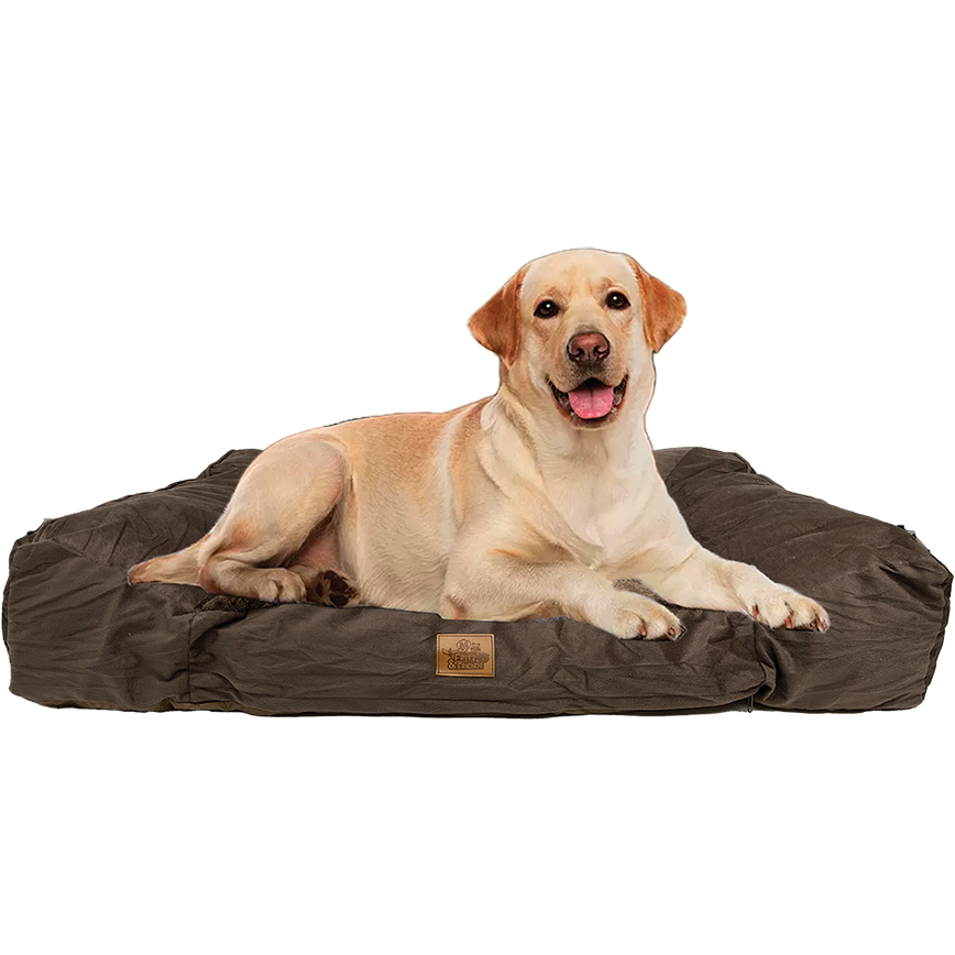 Fritz & Friends Memory Foam Pet Bed 37" x 28"
