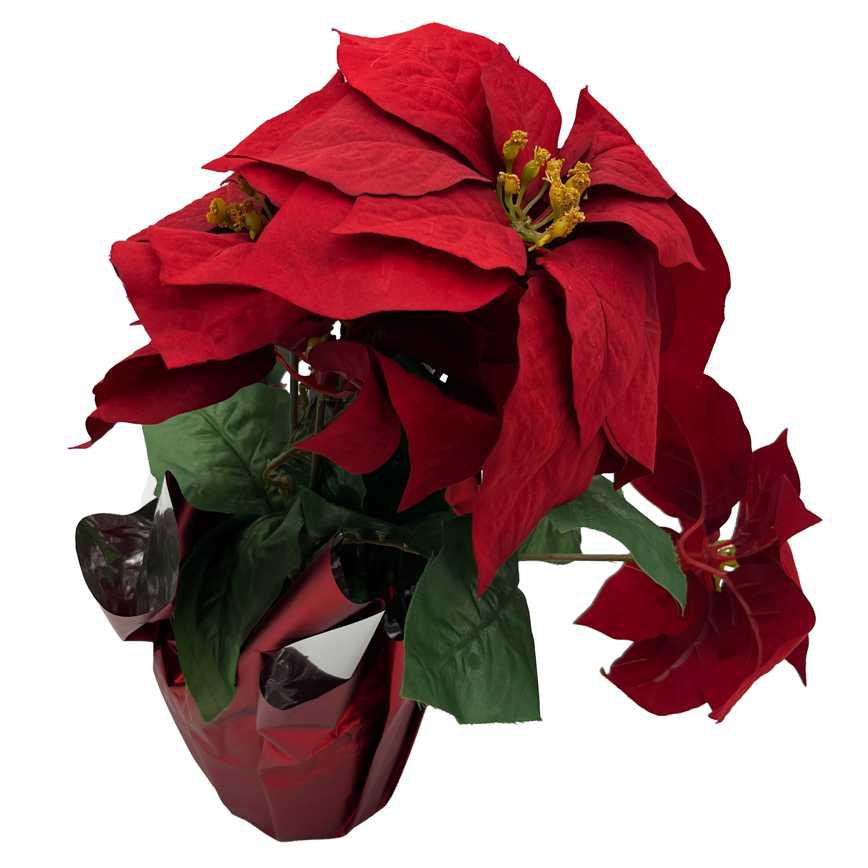 Poinsettia Blooms 16"
