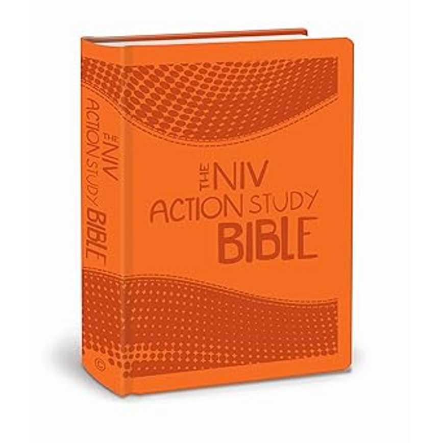 Action Bible Study Bibles