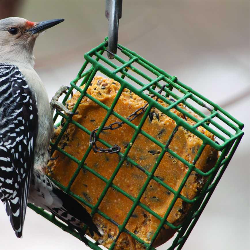 Fritz & Friends Bird Suet Cage