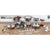 Stainless Steel Cookware Set 52 pc.