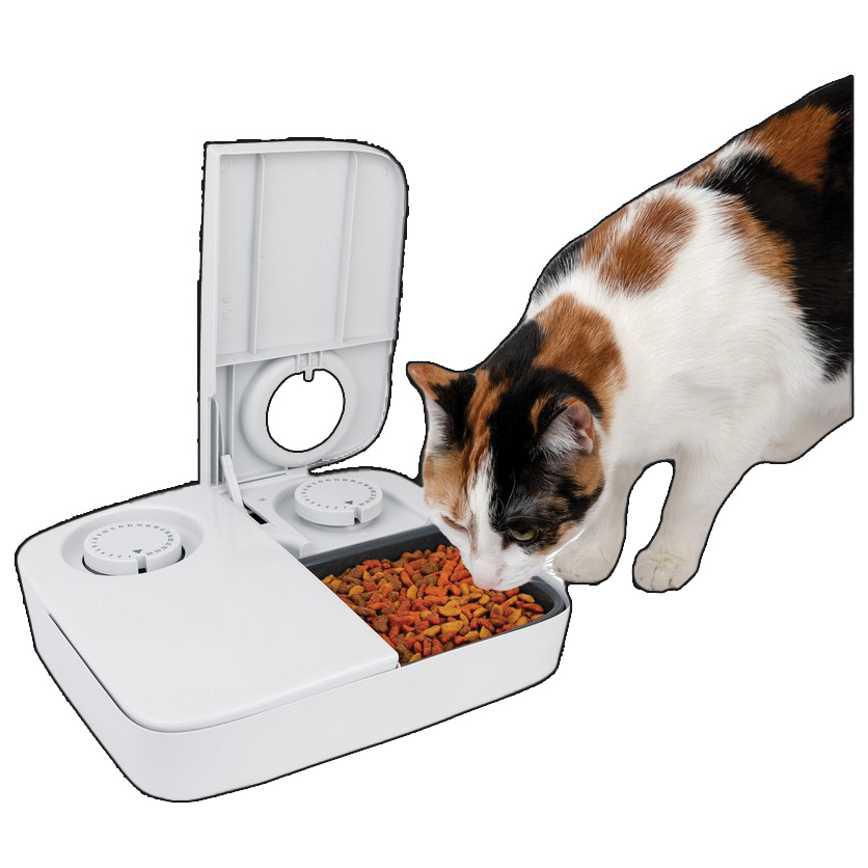 Premier Pet Auto Pet Feeder