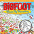 Bigfoot Seek & Find Books