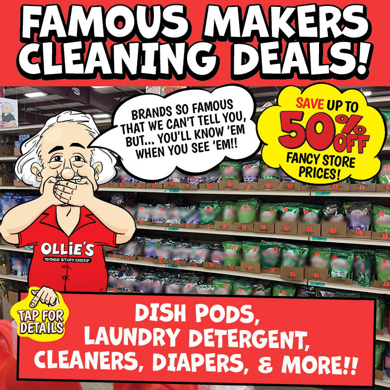 Banner with text: Famous Makers Cleaning Deals! Save up to 50% off fancy store prices! Brands so famous that we can't tell you, but... you'll know  'em when you see 'em!! Dish pods, laundry detergent, cleaners, diapers, & more!! Tap for details.