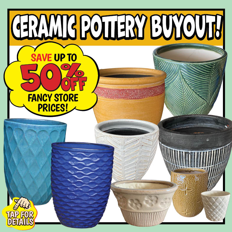 Banner with text: Ceramic Pottery Buyout! Save up to 50% off fancy store prices! Tap for details.
